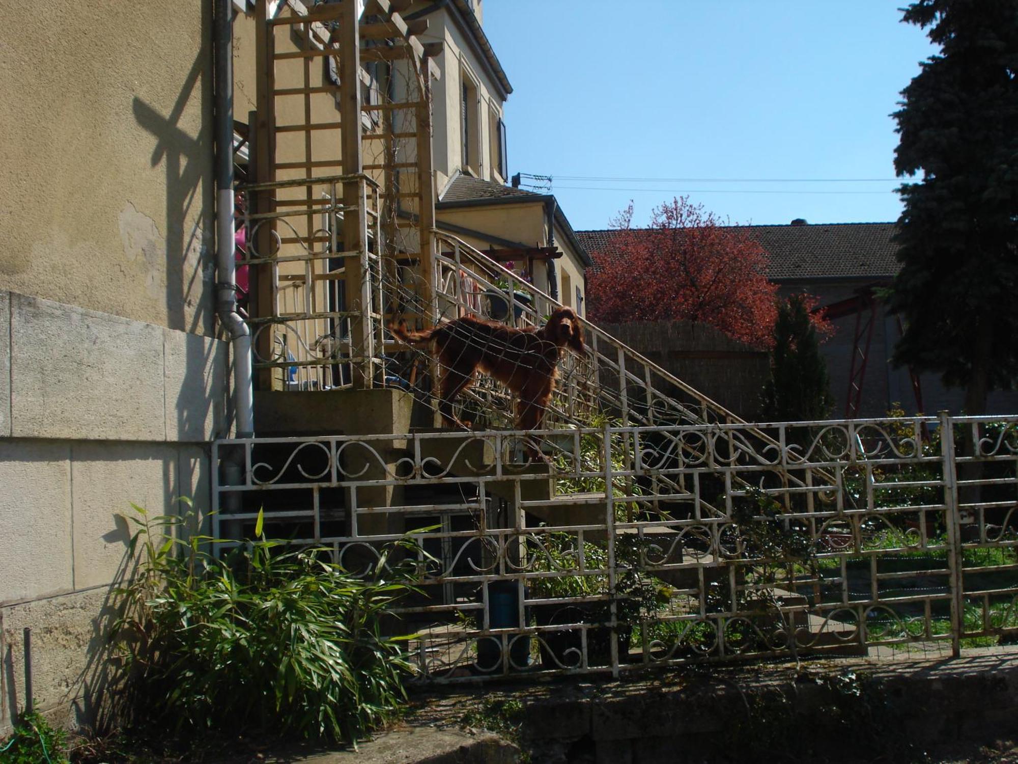 Chambres D'Hotes Notre Paradis Dun-sur-Meuse Exterior photo